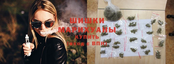 ГАЛЛЮЦИНОГЕННЫЕ ГРИБЫ Верея