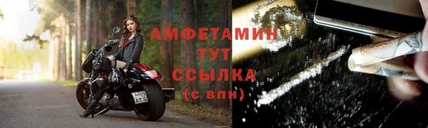 ГАЛЛЮЦИНОГЕННЫЕ ГРИБЫ Верея