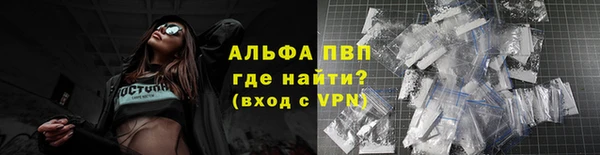 ГАЛЛЮЦИНОГЕННЫЕ ГРИБЫ Верея