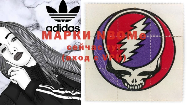 дмт Бородино