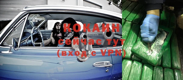 ГАЛЛЮЦИНОГЕННЫЕ ГРИБЫ Верея