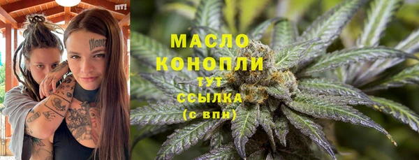 ГАЛЛЮЦИНОГЕННЫЕ ГРИБЫ Верея