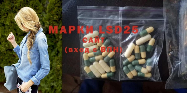 ГАЛЛЮЦИНОГЕННЫЕ ГРИБЫ Верея