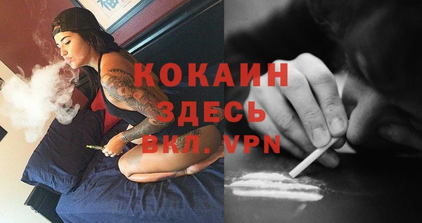 ГАЛЛЮЦИНОГЕННЫЕ ГРИБЫ Верея