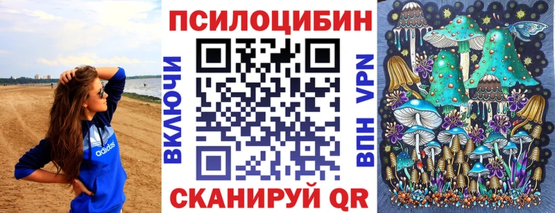 купить наркотики цена  Карабулак  Псилоцибиновые грибы Psilocybe 